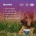 Integricare Muscle and Joint Supplement for Pets - Hip and Joint Supplement with Msm Powder Chondroitin - Glucosamine for Dogs and Cats for Ultimate Pet Nutrition - 140g - Buy Online on GoSupps.com