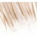 Royal Plain Individual Cello Wrapped Toothpicks - Pack of 1000 - 2.5 - Buy Online on GoSupps.com