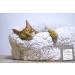 Nature Fresh Air Purifier Bags - 4-Pack Charcoal Odor Absorber - Buy Online on GoSupps.com