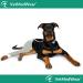 After Surgery Wear: Large Petrol Hip & Thigh Protective Cover for Dogs - Veterinarian Recommended Recovery Cuff - Buy Online on GoSupps.com