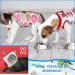 3 Pieces Cat Recovery Suit Kitten Recovery Suit E-Collar Alternative for Cats and Dogs Abdominal Skin Anti Licking Pajama Suit Multi Style Medium - Buy Online on GoSupps.com