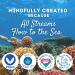 STREAM 2 SEA Hand Sanitizer Spray - 2 Fl Oz Travel Size (Pack of 6) | Paraben Free Moisturizing Vitamin E & Eucalyptus Infused Eco-Friendly USA Made - Buy Online on GoSupps.com