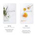 EUNYUL Daily Care Facial Sheet Mask Pack - 12 Types, Vegan Korean Skincare for Hydrating & Nourishing, Natural Ingredients - Pack of 12 - Buy Online on GoSupps.com