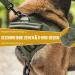 Oneigris No-Pull Dog Harness - Ultra Breathable Adjustable Safety Vest for Large/Medium Dogs - Green Sizes S (Neck: 36-51cm Chest: 51-69cm) - Buy Online on GoSupps.com