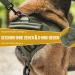 Oneigris No-Pull Dog Harness | Aire Mesh Adjustable Safety Harness for Large/Medium Dogs - Ultra Breathable Chest Vest with 2 Handles - Green (L: Neck 45-63cm Chest 68-91cm) - Buy Online on GoSupps.com