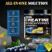 Creatine Monohydrate Gummies for Men & Women - Complex 8000 MG PreWorkout Supplement Creatine Gummy with BCAA L-Taurine & Vitamin B12 for Muscle Builder Strength & Energy Boost 120 Count 1Pack Pineapple & Blueberry - Buy Online on GoSupps.com
