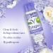 Vagisil Scentsitive Scents Feminine Dry Wash Deodorant Spray - Gynecologist Tested Paraben Free Spring Lilac 2.6 oz (Pack of 2) - Shop Internationally - Buy Online on GoSupps.com