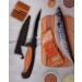 Skyfox Filleting Knife Set - 12cm Fish & Bait Knife with Sharpener | Perfect for Filleting & Kitchen Use | International Shipping Available - Buy Online on GoSupps.com