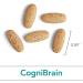 Buy Allergy Research Group CogniBrain Supplement - Memory & Focus Lion's Mane Vegetarian - 90 Capsules for Brain Health - Buy Online on GoSupps.com