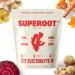 SUPEROOT 100% Natural Detox & Immunity Electrolytes (Fizzy) | Ginger & Citrus Flavor | Vitamin C Deep Ocean Minerals & Antioxidants | Energy Hydration | 0 Added Sugar | Caffeine Free | 30 Servings