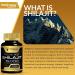 Himalayan Shilajit for Men - 1500mg Shilajit Capsules for Men Pure Shilajeet for Women with Naturally Occuring Fulvic Acid - Shilajet for Enhanced Energy and Immune Support - 120 Count (Pack of 1) - Buy Online on GoSupps.com