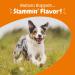 Zesty Paws Salmon Bites â€“ Skin & Coat Chews for Dogs | 90 Soft Chews, All Ages - Buy Online on GoSupps.com