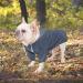 Morezi Hundred Coat - Wind & Rainproof Reflective Buttons Adjustable Hood - Blue XXL (86-98cm) - Buy Online on GoSupps.com