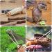PEUTIER 14.8 Inch Reptile Feeding Tongs Easy-Grip Snake Feeding Tongs Non-Skidding Extra Long Tweezers for Terrarium Axolotl Bearded Dragon Ball Python Tank Accessories - Buy Online on GoSupps.com