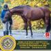 Electrolyte Horse Paste with Vitamins | B Complex Sodium Potassium & Magnesium - Essential After Diarrhea & for Hydration | International Shipping Available - Buy Online on GoSupps.com