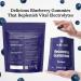 Wellness Blueberry Recovery Gummies - Hydration & Electrolyte Support for Muscle Recovery (30 Gummies - Buy Online on GoSupps.com