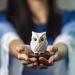 Blinky Owl Ceramic Diffusers - Non-Electric Essential Oil & Aromatherapy Diffusers for Home Office & Car - Stylish White & Brown Decor - Buy Online on GoSupps.com