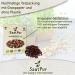 Buy SaatPur ORGANIC Sprouts Set - 5 Varieties Anti-Stress Mix: Mungo Lunja Lentils Fennel & Buckwheat - International Shipping Available - Buy Online on GoSupps.com