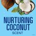 Secret Invisible Solid Antiperspirant & Deodorant Coconut Scent - 2.6 oz (Pack of 3) | Buy Internationally - Buy Online on GoSupps.com