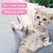 Buy Double-Sided Cat Toothbrush Set - Deep Cleaning Kit for Kittens & Cats - Pink & Orange - Buy Online on GoSupps.com