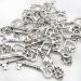 30PCS Antique Skeleton Keys Vintage Steampunk Juliet Collection - Silver - Buy Online on GoSupps.com