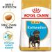 ROYAL CANIN Rottweiler Puppy - 3 kg - Buy Online on GoSupps.com