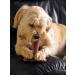 Bamboodles T-Bone Chew Toy for Dogs - Small 4" Peanut Butter Flavour for All Breed Sizes - Buy Online on GoSupps.com