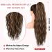 Brikabia Ponytail Extension - 66cm Beach Wavy Clip-In Hair Extension for Women in Chocolate Brown with Blonde Reflexes - Buy Online on GoSupps.com