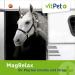 Vitpet+ Magrelax for Horses - Magnesium & Tryptophan Support for Muscles & Relaxation | 2kg with Dosing Spoon - Buy Online on GoSupps.com