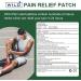WILD+ Knee Pain Relief Patch - Maximum Strength for 24-Hour Relief from Knee, Back, Shoulder Pain and Arthritis - Buy Online on GoSupps.com