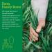 Buy Amazing Grass Organic Wheat Grass Powder 8.5 oz | Nutrient-Rich Superfood - Buy Online on GoSupps.com