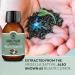 Natural Planet Black Seed Oil 100ml - Cold Pressed, High Strength Thymoquinone, Nigella Sativa - Non-GMO, Cruelty Free - Buy Online on GoSupps.com