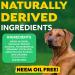 TropiClean Fresh Breath Dog Breath Spray - Easy to Use Freshener 4 oz - Buy Online on GoSupps.com