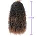 Goddess Locs Crochet Hair 18 | 6 Packs Curly Faux Locs Braids | Boho Style Hair Extensions | T1B/30 18 (Pack of 6) - Buy Online on GoSupps.com