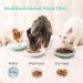 ComSaf Ceramic Cat Feeding Bowl Wide Shallow Cat Food Water Dish Whisker Friendly Design Whisker Fatigue Free shallow cat bowl Non Spill Pet Bowl 300ML Pack of 2 Green Green*2 - Buy Online on GoSupps.com