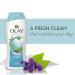 Olay Fresh Outlast Purifying Birch Water & Lavender Body Wash 13.5 Oz - Refreshing Cleanser - Buy Online on GoSupps.com