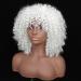 Shop Colorfulpanda Afro Kinky Wigs for Women | Short Wavy Synthetic Wig - Naturally Curly & Stylish - Buy Online on GoSupps.com
