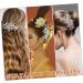 PLAFOPE Rhinestone Tuck Comb Bridesmaid Hair Comb Flower Side Comb Rhinestone Pearl Combs Rhinestone Leaf Hairpin Flower Girl Hair Accessory Leaf Bridal Headpieces Side Combs Rhinestones - Buy Online on GoSupps.com