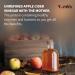 YumVs Apple Cider Vinegar Gummies with The Mother + Ginger - 60 Count | Non GMO Vegetarian Supplement for Heart Health & Digestive Support | Natural Apple Flavor Chewables for Women & Men - Buy Online on GoSupps.com