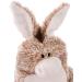 Nici 49648 Donkey 350ml | 2-in-1 Soft Cuddly Toy & Hot Water Bottle for Kids | Plush Bed Bottle for Ages 10 Months+ - Buy Online on GoSupps.com