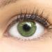 Glamlens Naples Green Gr n + container |Very strongly covering natural green contact lenses colored |Colored silicone hydrogel |1 pair (2 pieces) |Dia 14.00 |without starch