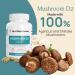 Real Mushrooms Vitamin D2 (120 ct) Vegan Supplement - Organic 1000 IU Shiitake & Agaricus Mushroom Complex - Bone & Muscle Health, Energy & Mood Support - Buy Online on GoSupps.com