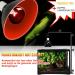 Neptonion 100W Infrared Heat Lamp for Reptiles | UVA Basking Spot Lamp for Snakes Chameleons Geckos & More - Buy Online on GoSupps.com