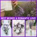 Dried Lavender Bundles - Uieke Natural Flowers for Home Decoration & Fragrance (16 280-300 Stems, 2 Bundles Purple) - Buy Online on GoSupps.com