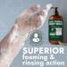 16.9 oz Tea Tree Antifungal Antibacterial Soap | Ringworm Acne Athlete's Foot Treatment + Free Body Scrubber - Buy Online on GoSupps.com