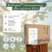 BioProphyl Intestinal Cleansing | 2-Month Treatment & Care Instructions - Shop Internationally - Buy Online on GoSupps.com