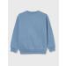 Champion Unisex Kids Sweatshirt 15-16 Years - Denim Chiaro | International Shipping Available - Buy Online on GoSupps.com