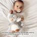 Nuby Penguin Baby Cry Sensor Sleep Aid | Calming Lullabies & White Noise | Soothe Baby to Sleep from Birth - Buy Online on GoSupps.com