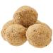 Premium Suet Fat Balls Wild Bird Pack of 50
