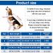 Cobee Dog Recovery Suit - Abdominal Protection for Male & Female Dogs | Surgical Cuddly Suit for Small & Medium Dogs (L-Size) - Ideal After Surgery - Buy Online on GoSupps.com